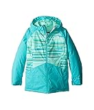 (ザノースフェイス) THE NORTH FACE キッズコート・ジャケット・アウター Brianna Insulated Jacket (Little Kids/Big Kids) Ice Gree