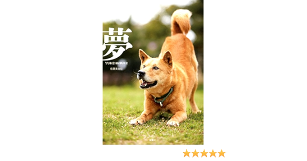 夢 Yumenosuke 佐藤 美由紀 本 通販 Amazon