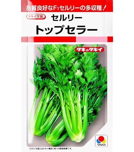 セロリパセリ ZRP-ZX | Check-In-M 80L 80533– ZERO HALLIBURTON