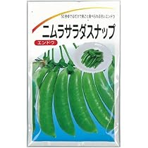 Amazon.co.jp: スナップエンドウ 種 【 ニムラサラダスナップ