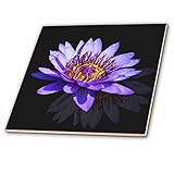 3drose Sven Herkenrath Nature – ブルーアジアLotus Flower Buddhaシンボルマクロデザイン – タイル 12-Inch-Ceramic ブルー ct_25