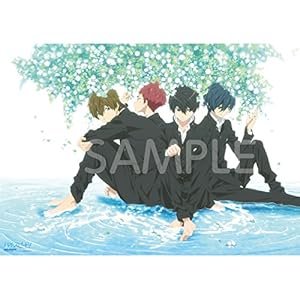 映画ハイ☆スピード! B2ポスターTYPE D (映画ハイ☆スピード!) 映画ハイ☆スピード! B2ポスターTYPE D (映画ハイ☆スピード!)