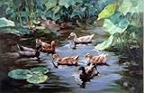 ' MANDARIN DUCKS Swimming in the Lotus Pond '油絵、8 x 12インチ/ 20 x 32 cm、完璧な効果キャンバスに印刷、子供のこのVividアート装飾キ