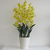 オンシジューム 光触媒 造花 鉢植え アートフラワー 6本立 H80cm(黄-白鉢)