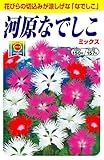 アタリヤ農園 ガーデニング用品 種 河原なでしこミックス