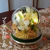 お供え 光る プリザーブドフラワー 灯華 (デンファレホワイト, S) 【メッセージ ラッピング 無料 取説付】 お悔やみ 仏花 仏壇用 お盆 お彼岸 法事 葬式