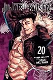 Jujutsu Kaisen, Vol. 20: Sendai Colony--The Height Of The Feast--