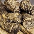 山わさび 土付き 北海道産 蝦夷山わさび 西洋わさび 500g ホースラディッシュ レホール