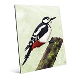 Painted Great Spotted Woodpecker onグリーン壁アートプリント 16x20 BRD0000136GLS16X20XXX