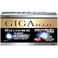 カーメイト 車用 HID ヘッドライト GIGA クールスカイ コンバージョンキット H9/H11共通 6700K 2400lm ホワイト 車検対応 GHK1167
