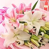 BunBunBee 母の日 花束「オリエンタル・フレグランス ピンクホワイト」 2018