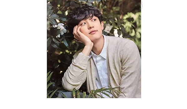 Amazon Exo チャニョル 特大 高画質ポスター プラスティックケース付 アイドル 芸能人グッズ 通販