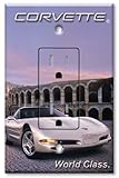 Printed壁プレートwith Matchingロッカースイッチおよび/またはコンセント – Rome Corvette マルチカラー GM-144-Printed-Single-Receptacl