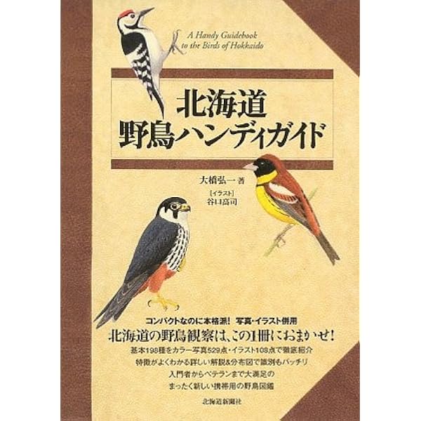 増補新版 北海道野鳥ハンディガイド | 大橋 弘一, 谷口 高司 |本