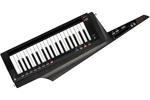 KORG（コルグ）キーター シンセサイザー ステージキーボード 電池駆動 RK-100S 2BK トランスルーセント・ブラック