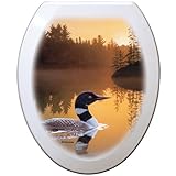 Comfort Seats C1B4E2-750-00CH Stone Island Loon Elongated Toilet Seat with Chrome Alloy Hinge, White