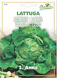 野菜の種 レタス(ラトゥーガ)・アンナ