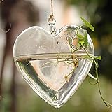 amzmonnsuta　ガラスの花瓶ガーデン水耕植物コンテナハンギングハート