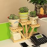 消毒木製フラワースタンド フラワースタンド/デスクソリッドウッドフラワースタンドミニストレージハウス小プラントラック 強い支持力 (色 : 11)