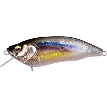 Amazon.co.jp: メガバス(Megabass) IXI FURIOUS 0.5 B.B.C(ブラック