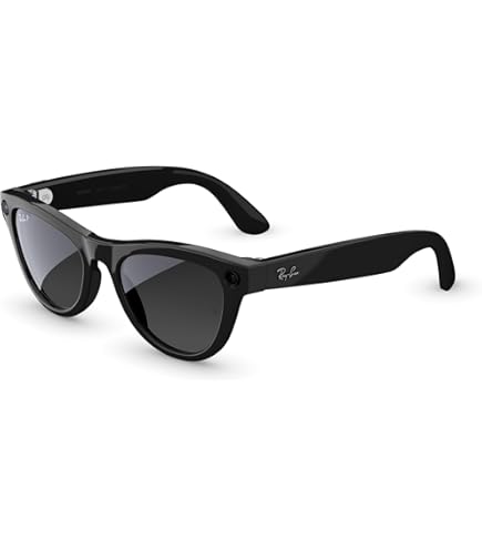 Ray-Ban Meta Wayfarer マットブラック L