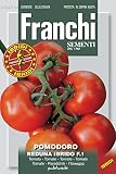 野菜の種 イタリアントマト reduna Hy F.1 106/104