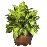 Nearly Natural 6709 Variegated Dieffenbachia with Large Hexagon Decorative Silk Plant, Green by Near