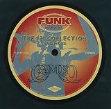 12-Inch Collection & More