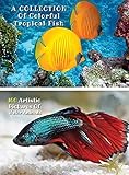 A Collection of Colorful Tropical Fish - 100 Artistic Pictures of Water Animals - Full Color HD: Professional Photo Album - The Best Animal Pictures And Art Images Ideas - Rigid Cover Version - English Language Edition