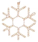 American照明led-ww-hsm-snowf18 Snowflake Holidayロープライトモチーフ、18インチ