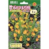 春植え球根 サンダーソニア オーランチカ (オレンジ) 530195