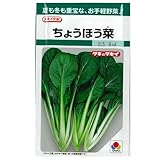 美しい純白　雪まつり(武蔵野交配)　数量:1ml