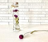 ハーバリウム 千日紅