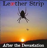 After The Devastation