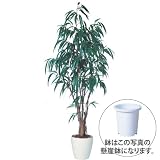 エフプランター 人工観葉植物-ショウナンゴム-210-9号鉢-懸崖鉢