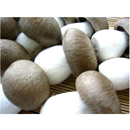 Amazon 香り松茸 まつたけ 味しめじ 大黒本しめじ 大黒しめじ 1パック100g さんきん 食品 飲料 お酒 通販