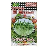 カネコ種苗 園芸・種 KS100シリーズ 豆苗 野菜100 753