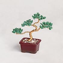 Amazon.co.jp: MIYUKI (ミユキ) ネジッテBONSAIキット