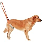 Liroyal 中型犬 歩行補助ハーネス 通気性 介護 犬用 大型犬 リード ハーネス 足腰の弱くなった老犬に 関節 サポート ハンドル付き 怪我 安全帯 オレンジ色