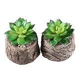 Vosarea シミュレーションの多肉植物ミニインテリアテーブル庭装飾的な肉質のポットストーンロータス2PCS