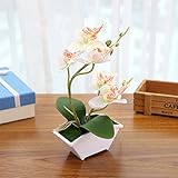 Liebeye 造花 蝶の蘭 植木鉢を植えた人工植物 シミュレート 部屋飾り ホーム ガーデン オフィス 装飾 おしゃれ 白