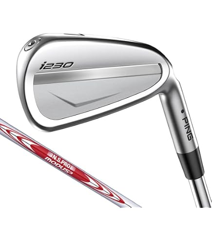 Amazon.co.jp: [ピン]PING GOLF i210 アイアン 6本セット(＃5～9、PW