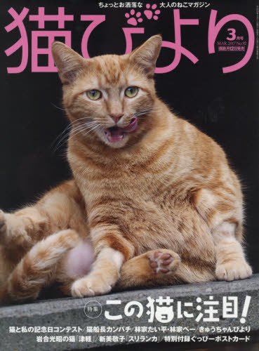 猫びより 2017年 03 月号