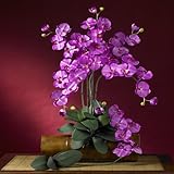 胡蝶蘭シルクOrchid Flower w / Leaves ( 6 stems )
