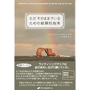 ただそのままでいるための超簡約指南 ただそのままでいるための超簡約指南