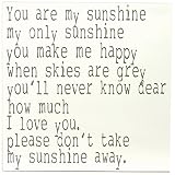 Chick Lingo XL1821WG You are My Sunshine Decorative Sign [並行輸入品]