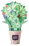 アルファックス 華やぎペーパーモイスチャー ユリ 417415