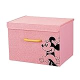 収納ボックス ふた付 カラーボックス ピンク 「ミニーマウス」 幅38×奥行26×高さ26cm ディズニー BM3826F-PI