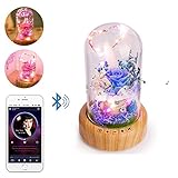 Bluetoothスピーカーナイトライト、Niceeshop ( TM )充電式Wishingボトルテーブルランプ、Eternalフラワーmicro-landscape LED雰囲気ランプ、完璧な誕生