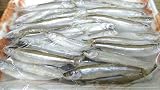 国産(琵琶湖)冷凍わかさぎ 500g 人気サイズ